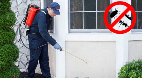 Yahyalı Böcek ve Haşere İlaçlama böcek ilaçlama ve haşere kontrolü — ilaclama-tr.com